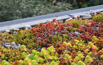 the cost of Burnt Yates green roof installation