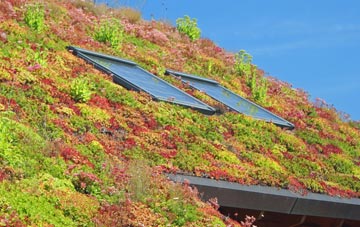 Burnt Yates living roof systems